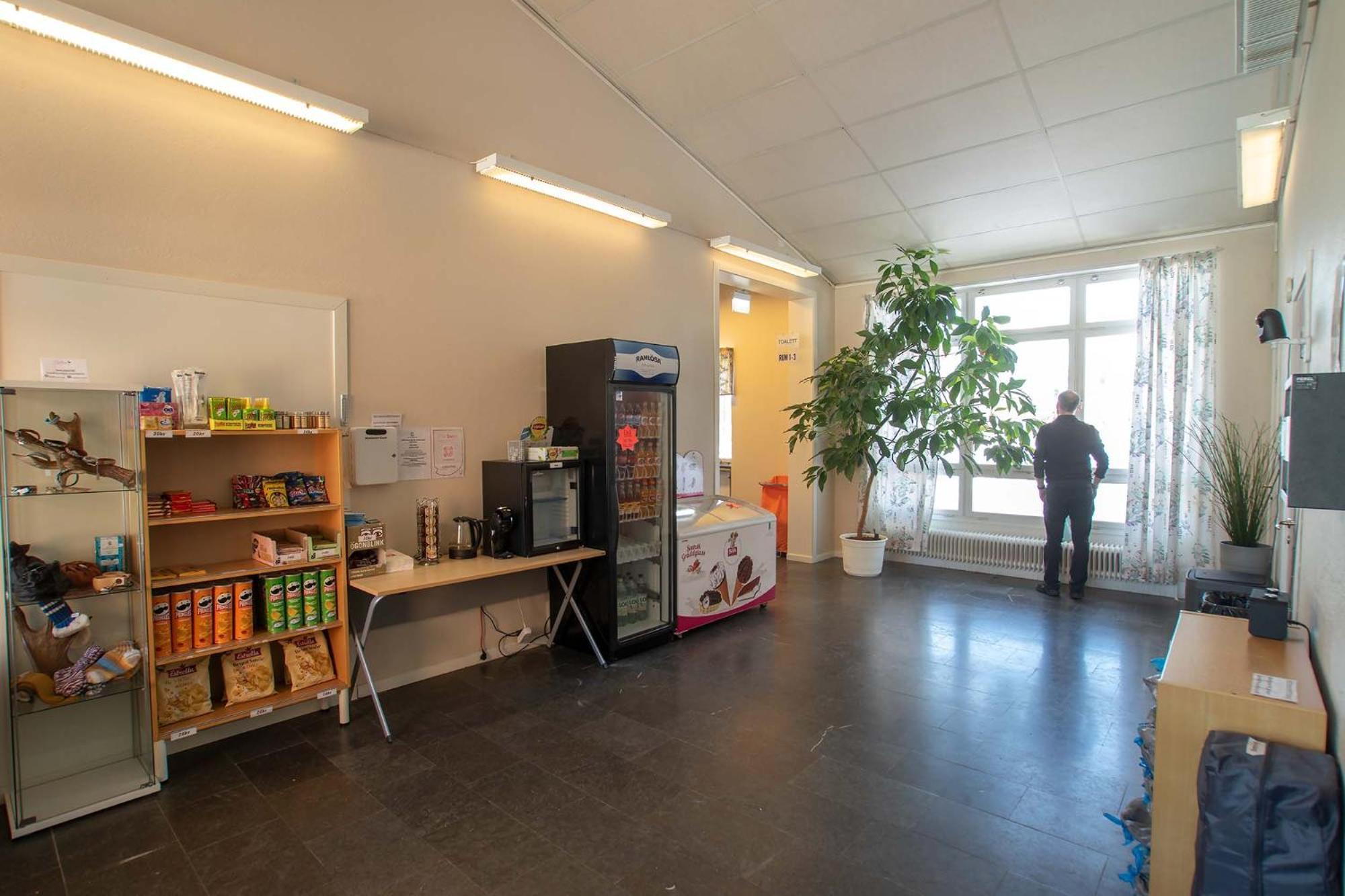 Dalasjoe Vandrarhem Vilhelmina Kültér fotó