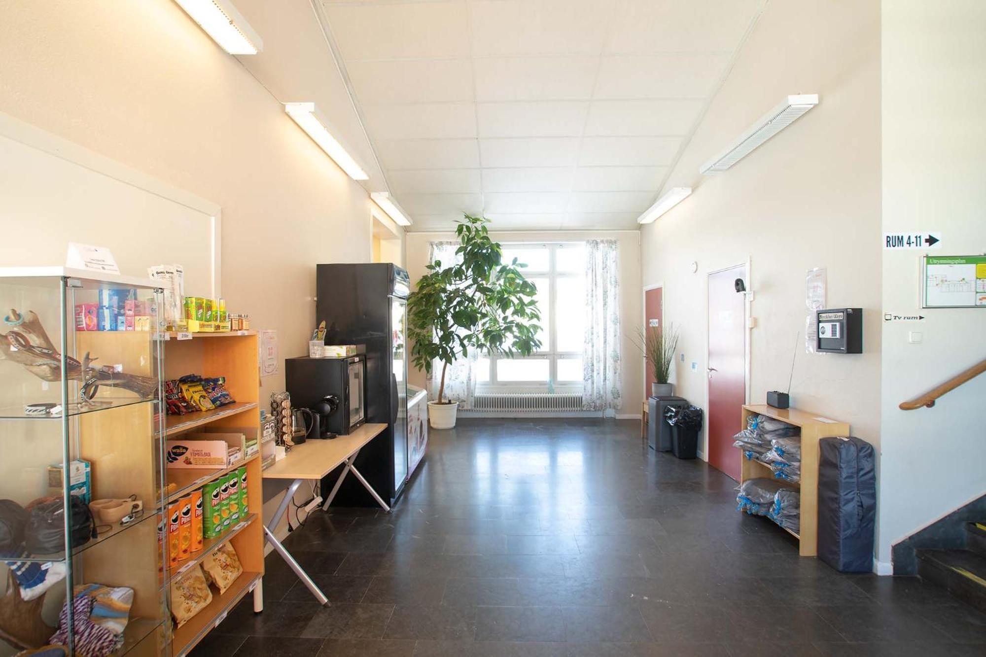 Dalasjoe Vandrarhem Vilhelmina Kültér fotó